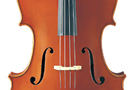 AVC5 S