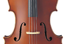 AVC7 SG