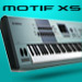 visit motifloyalty.com