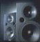 Monitor Speakers