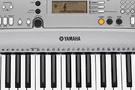 YPT-310