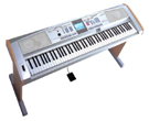 DGX505 Angled