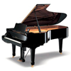 Pro Grand Pianos