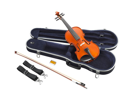image of violin with entire kit