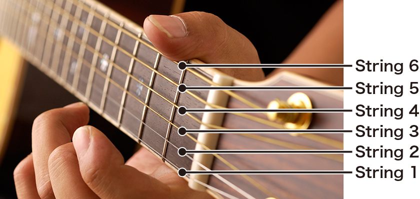 The Structure of the Acoustic Guitar：Six strings, each with a
