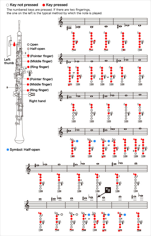 How to Play the Oboe：Oboe fingering table - Musical Instrument Guide ...