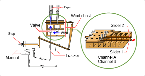 The Structure of the Pipe organ:The organ as a wind instrument