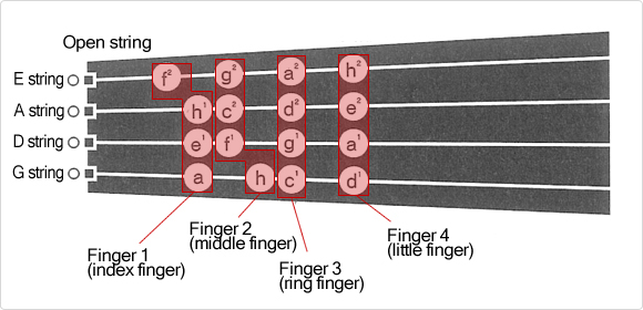 How the Violin:Fingering - Musical Instrument Guide - Yamaha