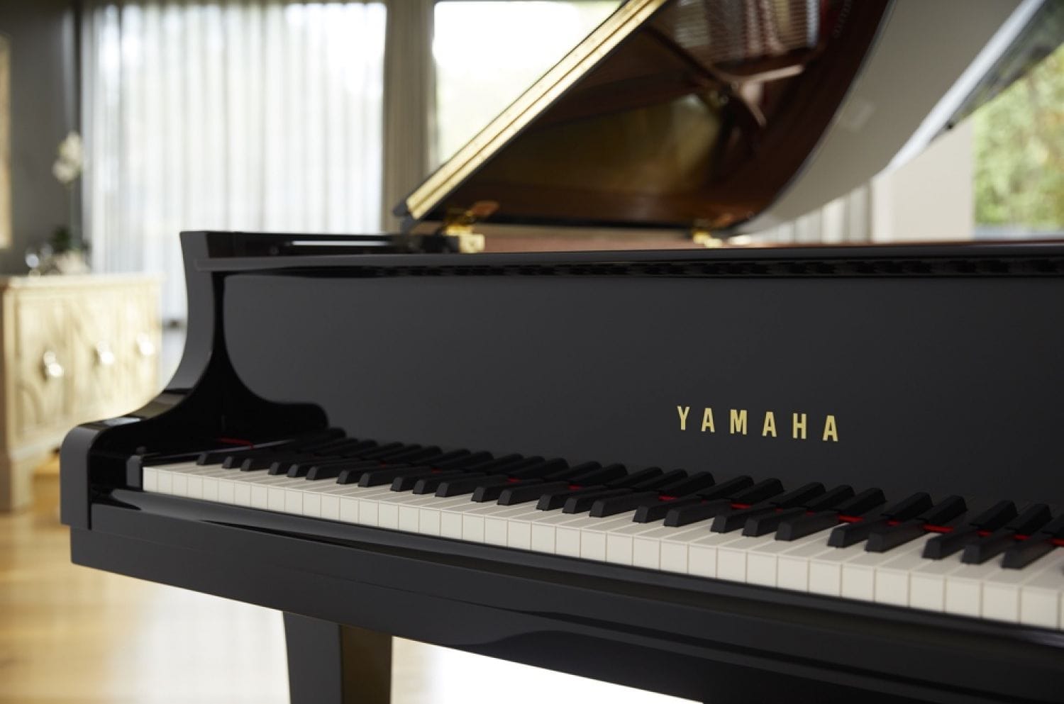 semi close-up photo of CX-Series piano 