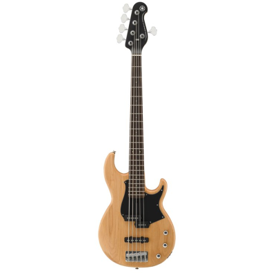 BB Series - 200 Series - Basses - Guitars, Basses & Amps - Musical 