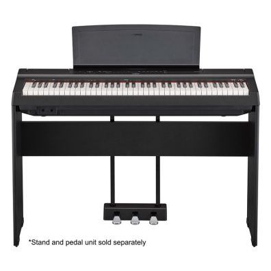 P-121 - Overview - Portables - Pianos - Musical Instruments - Products -  Yamaha USA