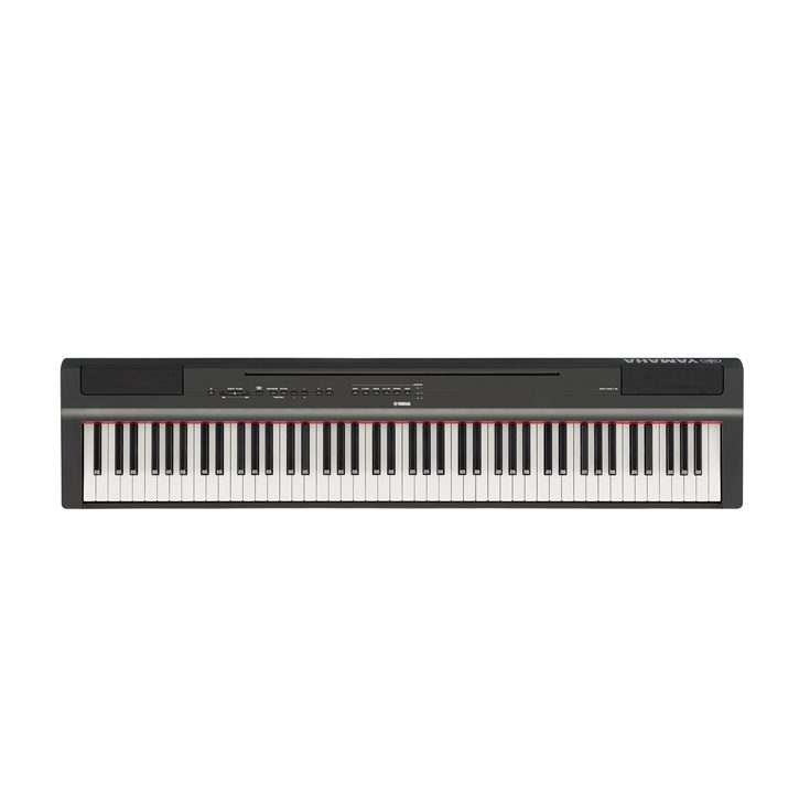 P-125 - More Features - Portables - Pianos - Musical Instruments