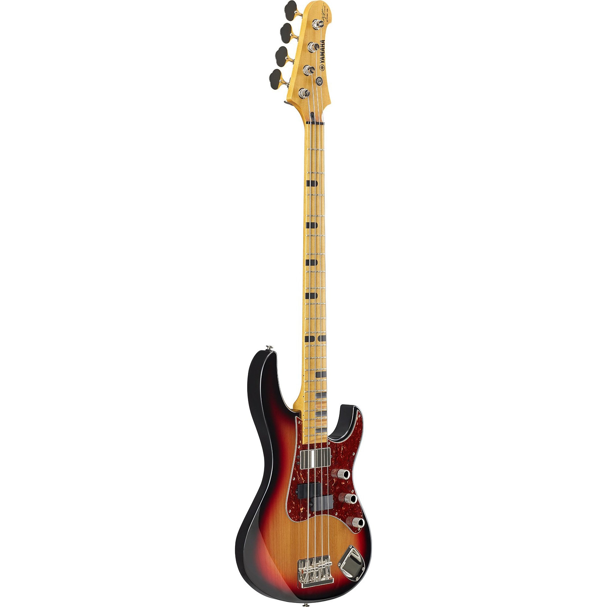 Billy Sheehan Attitude 30th Anniversary Bass